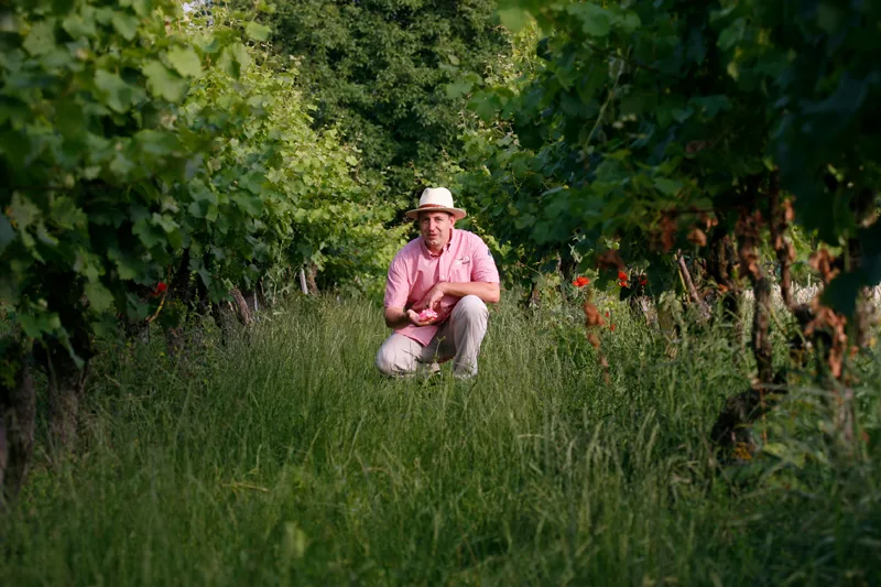 Naturwein Deutschland Naturwein Deutschland