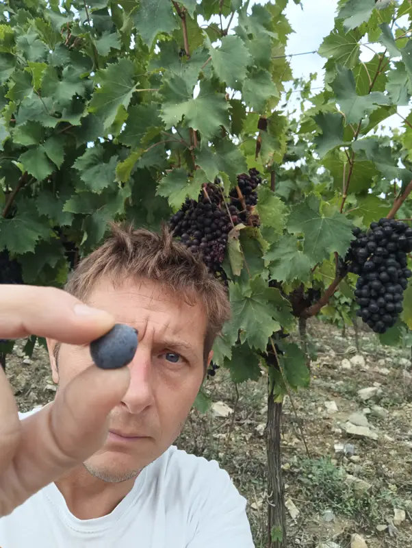 Podere Erica Naturwein Italien Podere Erica Naturwein Italien